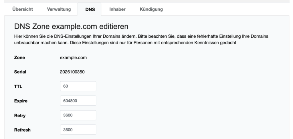 Tab DNS einer Domain im netcup CCP mit Zonendaten