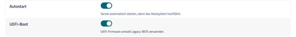 Schieberegler Autostart und UEFI-Boot in den Einstellungen des netcup SCP