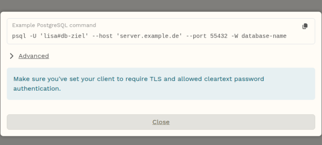 Warpgate-Dialog mit dem Beispielbefehl psql -U lisa#db-ziel --host server.example.de --port 55432 und dem Hinweis auf TLS