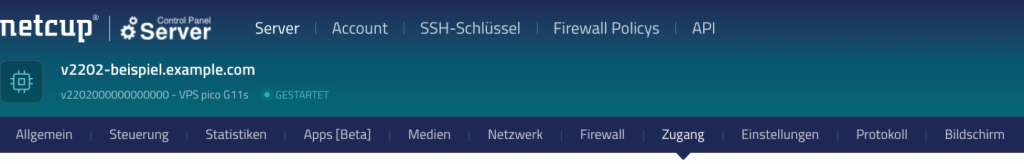 Reiterleiste eines Servers im netcup SCP mit aktivem Reiter Zugang