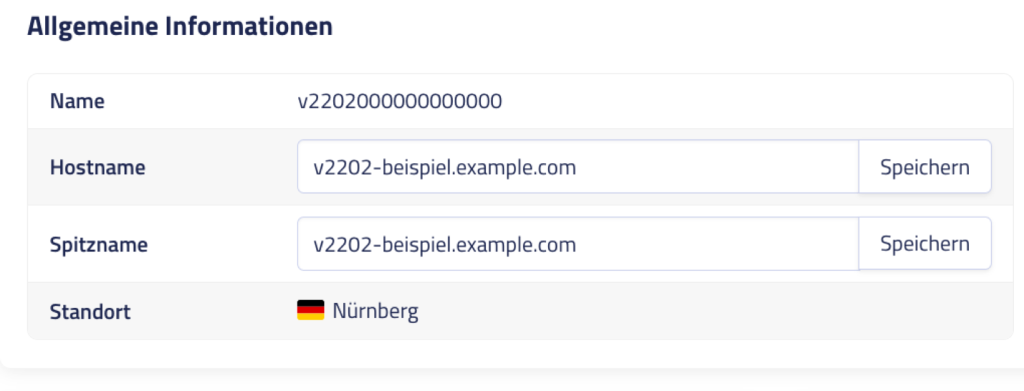 Allgemeine Informationen im netcup SCP mit Name, Hostname, Spitzname und Standort