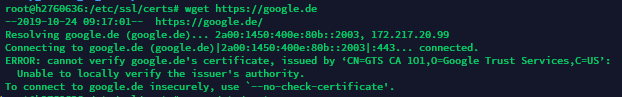 Plesk Download Fehler – „Unable to locally verify the issuer’s authority“